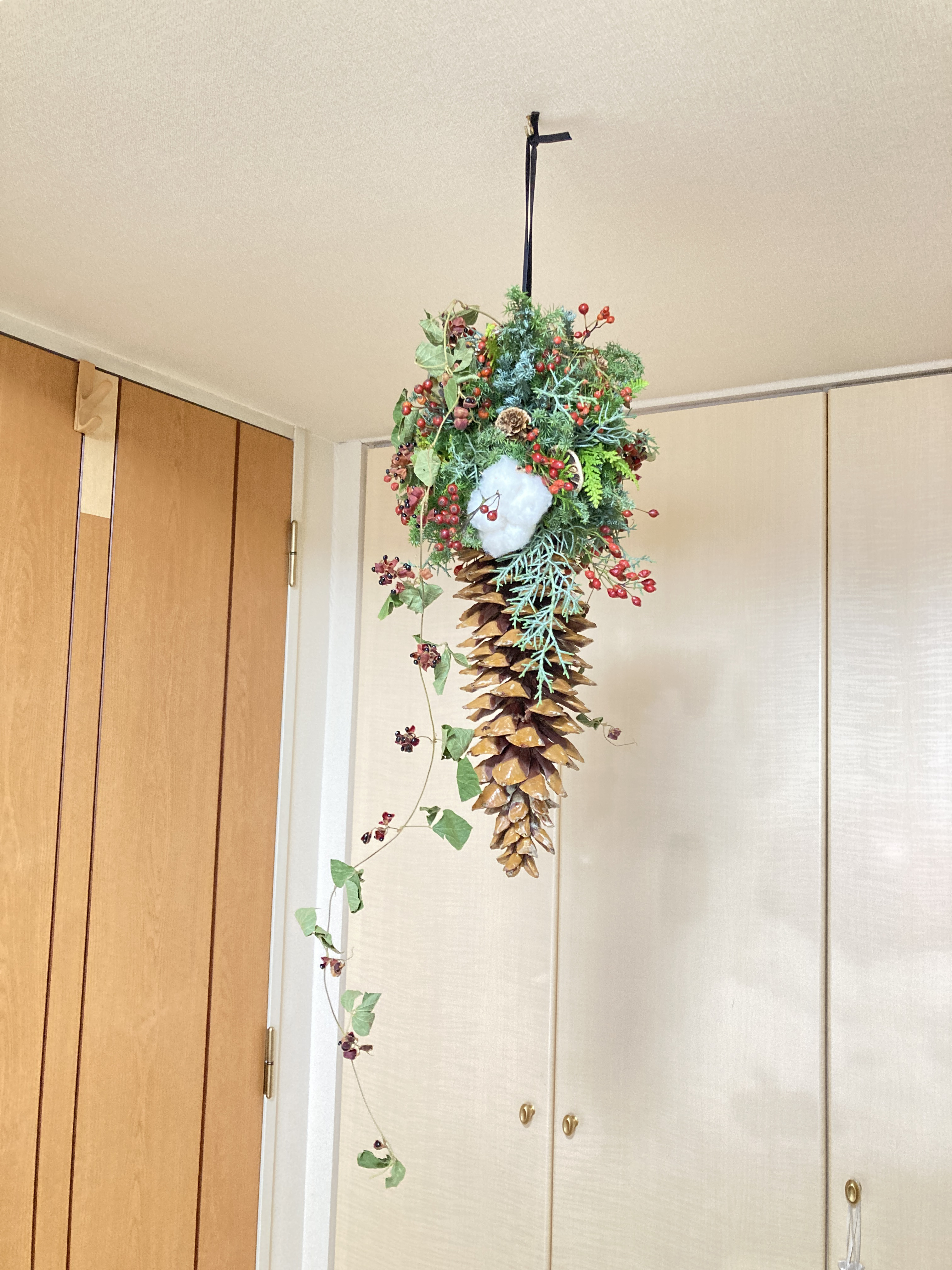 【受注販売】フライングリースシュガーパインコーン　ナチュラル