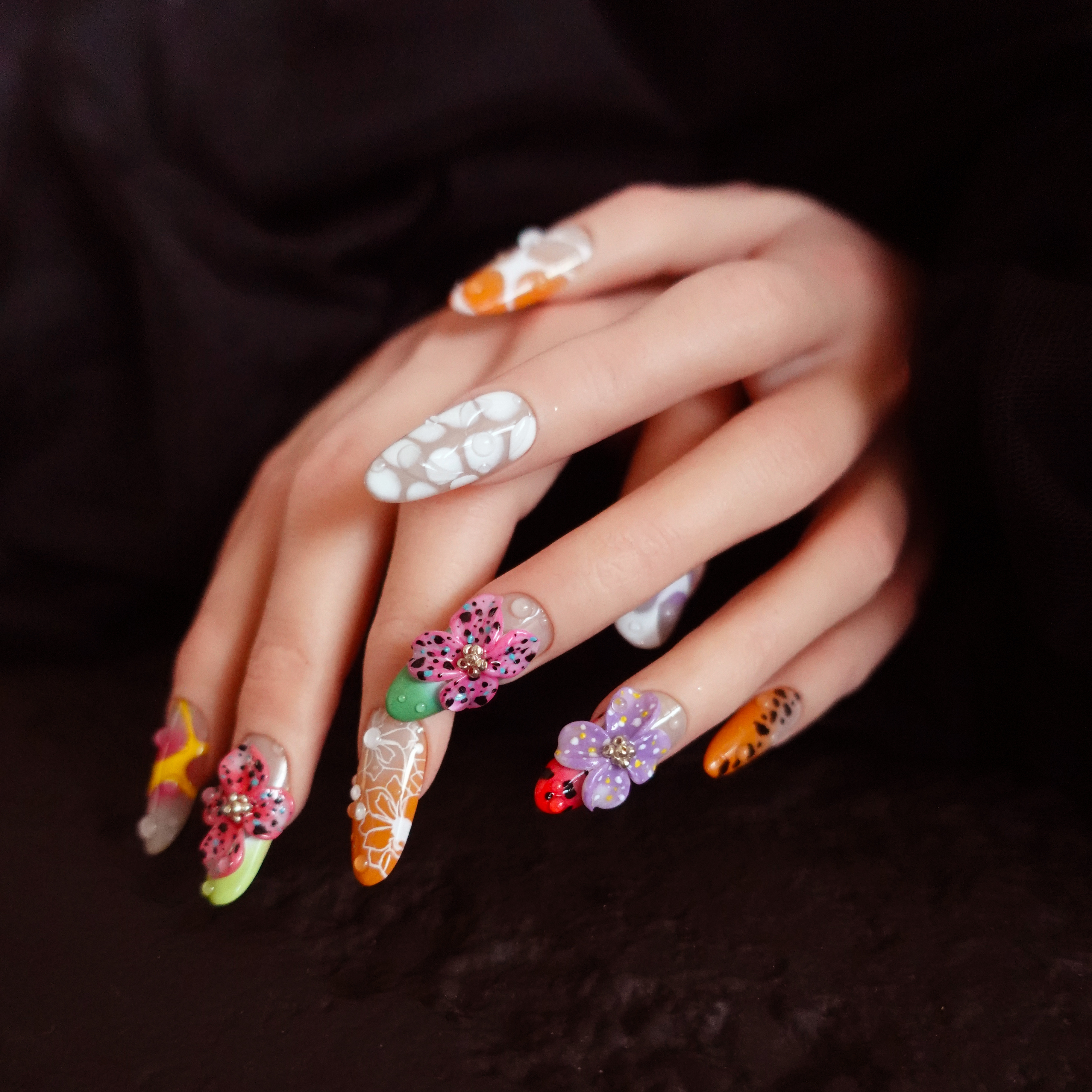 サファリ・ペタルズ  2507256