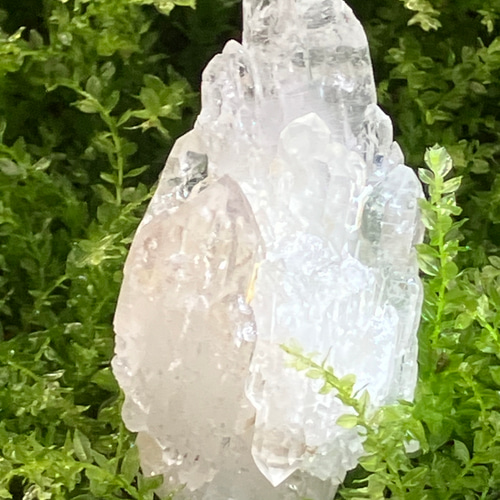 カテドラルクォーツ 観音水晶 ミナスジェライス産 マスター