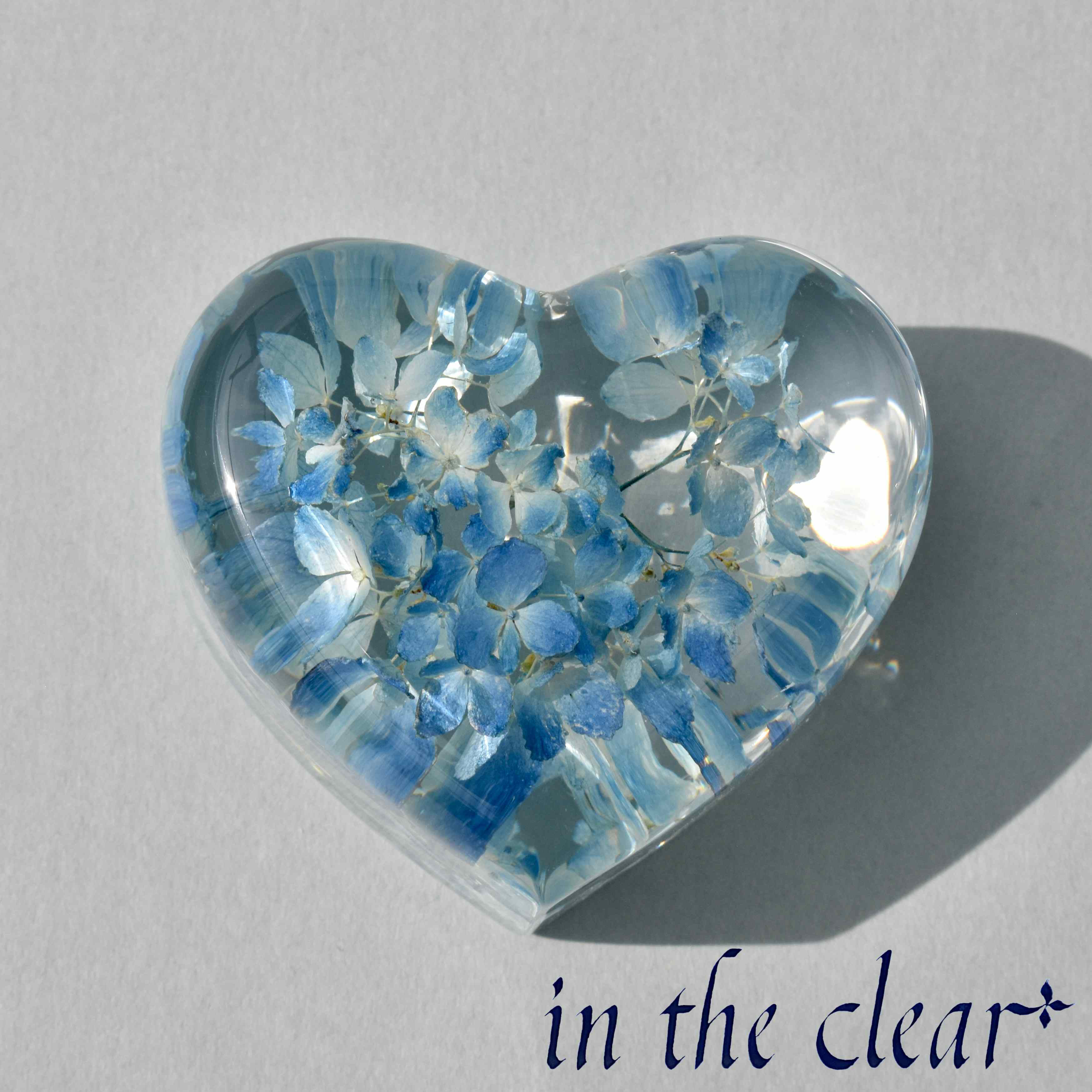 植物標本　紫陽花　水色　ハート型　小