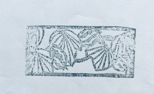 夏の植物スタンプ3個セット(朝顔+ダツラ+瓜) 2枚目の画像