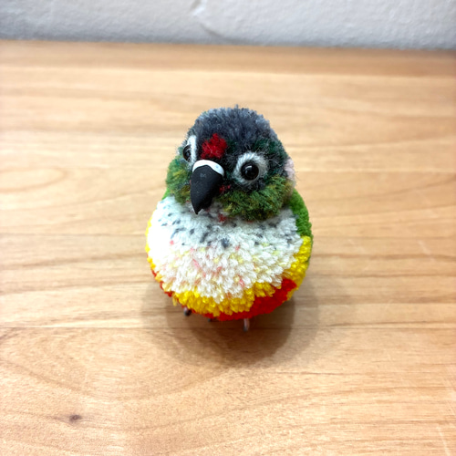 ぽんぽん小鳥 小さなインコシリーズ ワキコガネウロコインコ その他