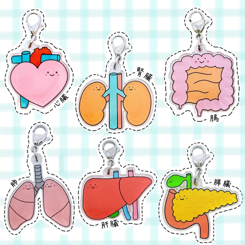 胃カメラ　内視鏡　臓器　手作り　キーホルダー 胃 手作り臓器キーホルダー