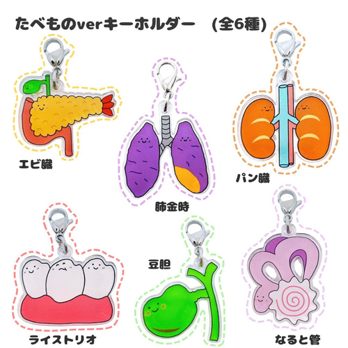軟膏　臓器　手作り　キーホルダー 消化管 手作り 臓器 キーホルダー ハンドメイド - メルカリ