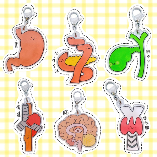 手書きイラストの臓器キーホルダー その他アクセサリー Creemaユーザー