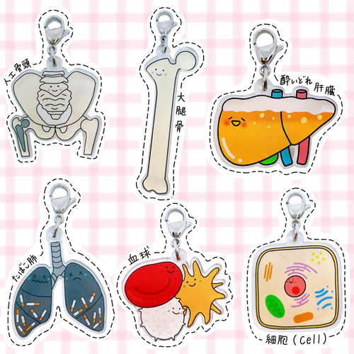 手書きイラストの臓器キーホルダー その他アクセサリー Creemaユーザー