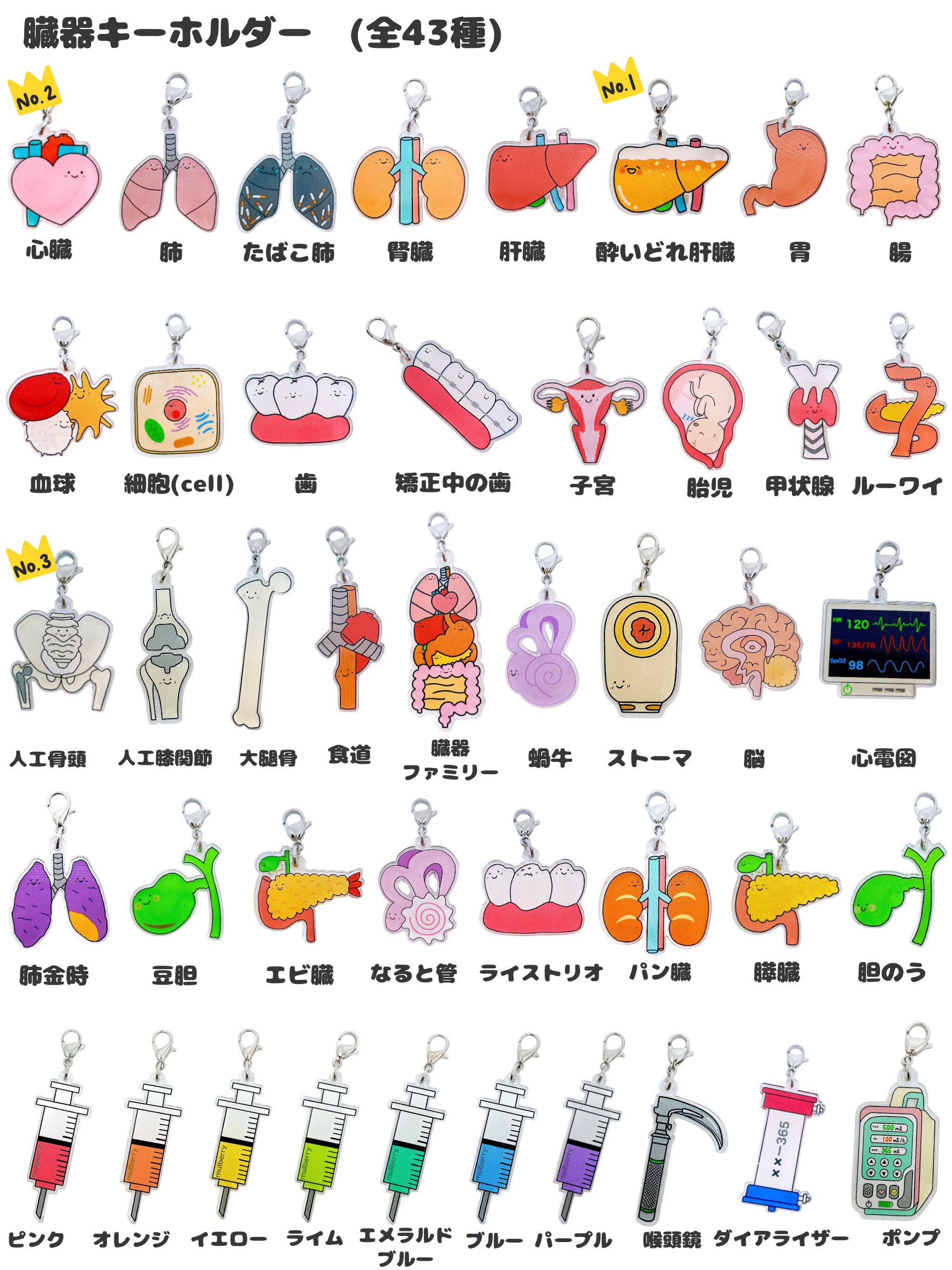 軟膏　臓器　手作り　キーホルダー 消化管 手作り 臓器 キーホルダー ハンドメイド - メルカリ