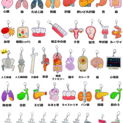 血液　臓器　手作り　キーホルダー　看護 血液 臓器 手作り キーホルダー 看護 チャーム