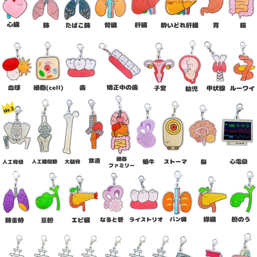 手書きイラストの臓器キーホルダー その他アクセサリー Creema