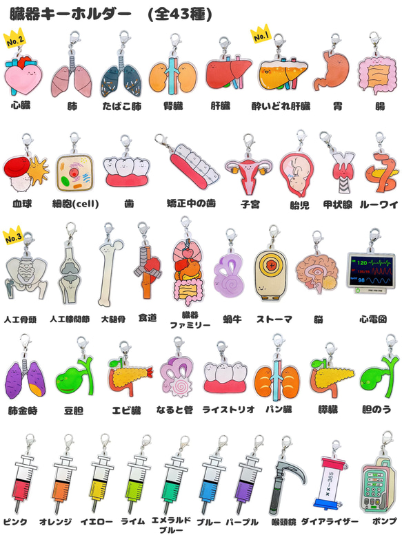 大動脈弓　臓器　手作り　キーホルダー　看護 大動脈弓手作り臓器キーホルダーハンドメイド