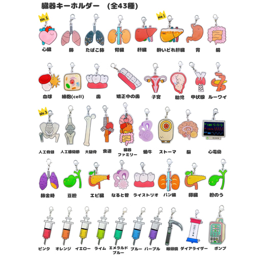 手書きイラストの臓器キーホルダー その他アクセサリー Creemaユーザー
