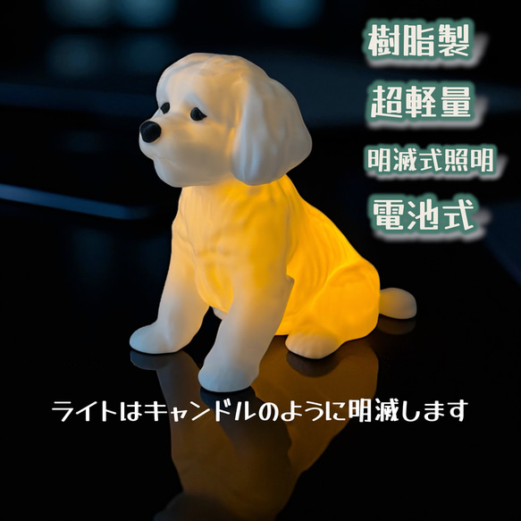 中国版、メタル製、製作品置物5点セットケース付き 【公式通販】 中国版、