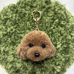 うるうるトイプードル 毛糸キーホルダー＊薄茶 ブラウン マスコット