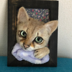 ポケにゃん(=^x^=) 羊毛フェルト 愛猫さんと一緒にお出かけ うちの子