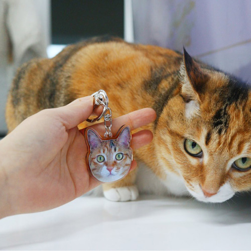 うちの子 アクリル キーホルダー写真オーダーオーダーメイド お好き