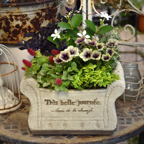 アンティークグリーン」で彩る寄せ植え※寄せ植えセット 花苗 苗