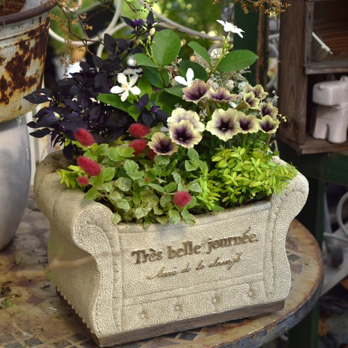 アンティークグリーン」で彩る寄せ植え※寄せ植えセット 花苗 苗