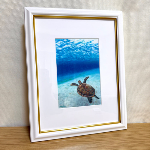 絵画 原画 色鉛筆画 額縁付き 海亀 海 《 気持ちがいい − 海亀
