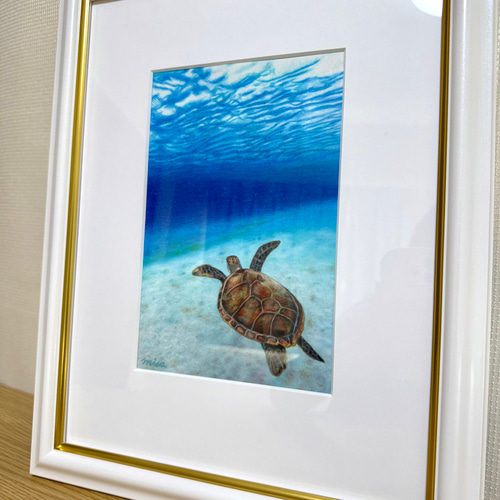 絵画 原画 色鉛筆画 額縁付き 海亀 海 《 気持ちがいい − 海亀