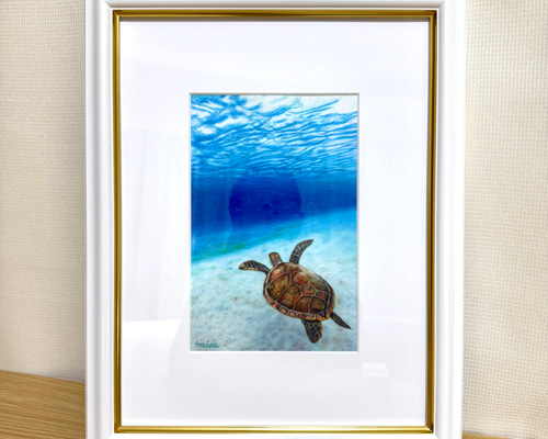 絵画 原画 色鉛筆画 額縁付き 海亀 海 《 気持ちがいい − 海亀