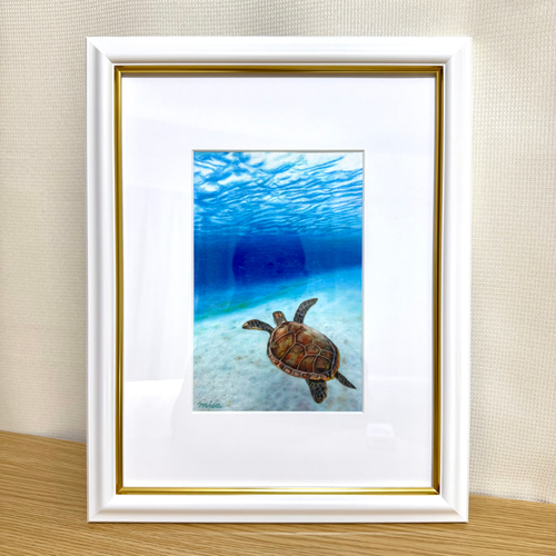 絵画 原画 色鉛筆画 額縁付き 海亀 海 《 気持ちがいい − 海亀