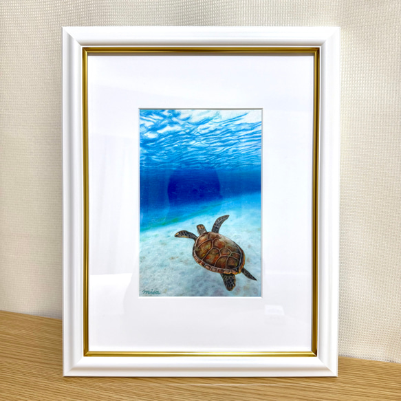 絵画 原画 色鉛筆画 額縁付き 海亀 海 《 気持ちがいい − 海亀