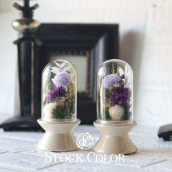 しめ縄 しめ縄飾り タッセル型 お正月 ドライフラワー ホワイト