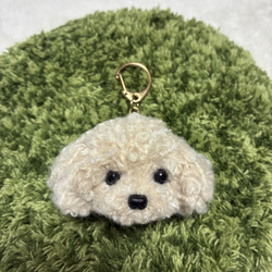 うるうるトイプードル 毛糸キーホルダー＊クリーム アプリコット