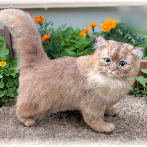 羊毛フェルト ネコ うちの子 オーダー専門◇愛猫の宝箱◇香箱座り お