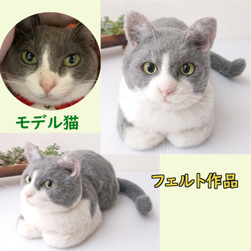 羊毛フェルト ネコ うちの子 オーダー専門◇愛猫の宝箱◇香箱座り お