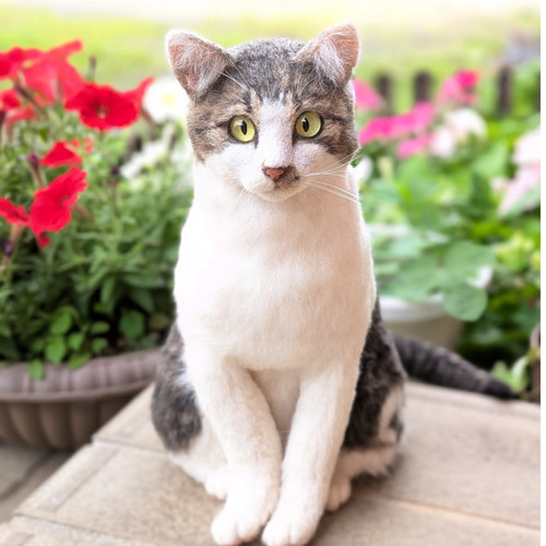 羊毛フェルト ネコ うちの子 オーダー専門◇愛猫の宝箱◇香箱座り お