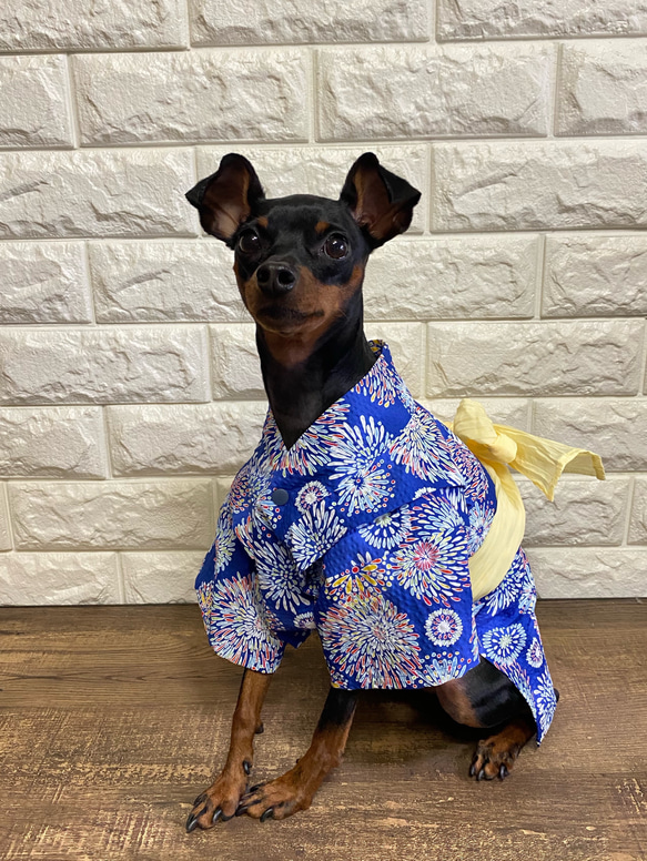 あゆ♡様❤ミニチュアピンシャー ペン立て&印鑑スタンド♡ あゆ♡様❤ミニチュアピンシャー ペン立て&印鑑スタンド♡ あゆ♡様