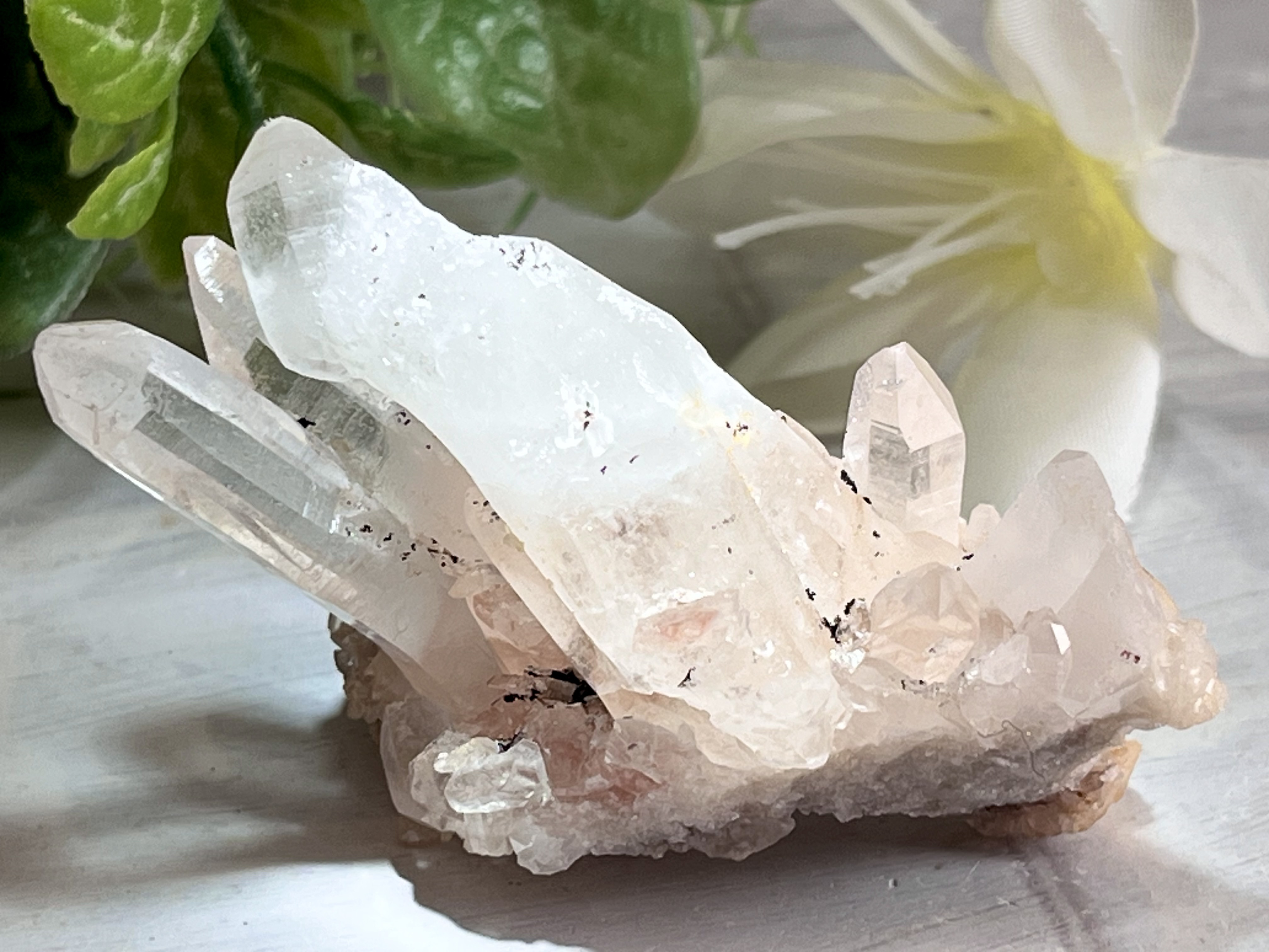 曲がり水晶　カーブド ヒマラヤ ピンククリスタル　クラスター　原石 曲がり水晶 カーブド ヒマラヤ ピンククリスタル クラスター 原石