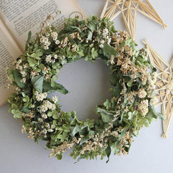 専用＊Winter＊3色のコットン ドライフラワーリース Winter＊3色のコットン ドライフラワーリース リース fu.wa.ran