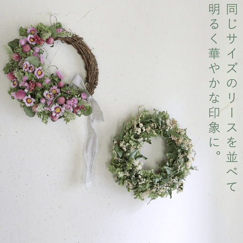 アナベルとキナリのナチュラルリース ＊ ドライフラワー ◇ 敬老の日
