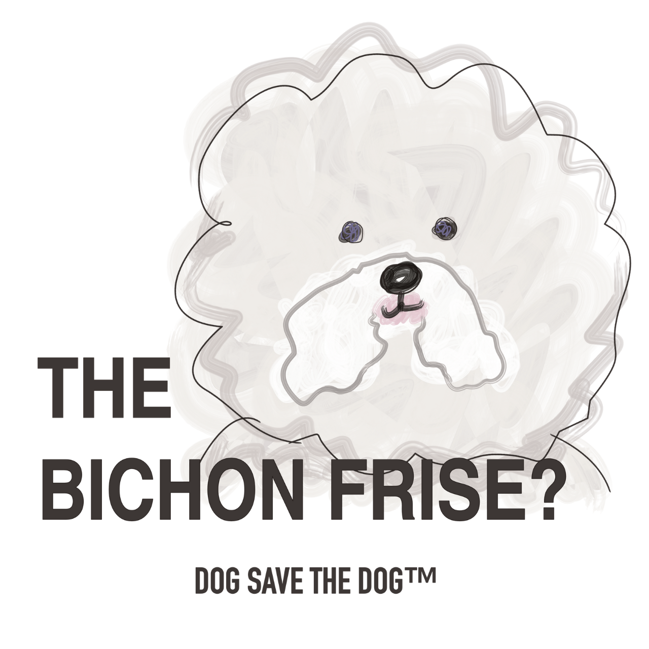 \名入れ可/ 半袖Tシャツ【ビションフリーゼ】