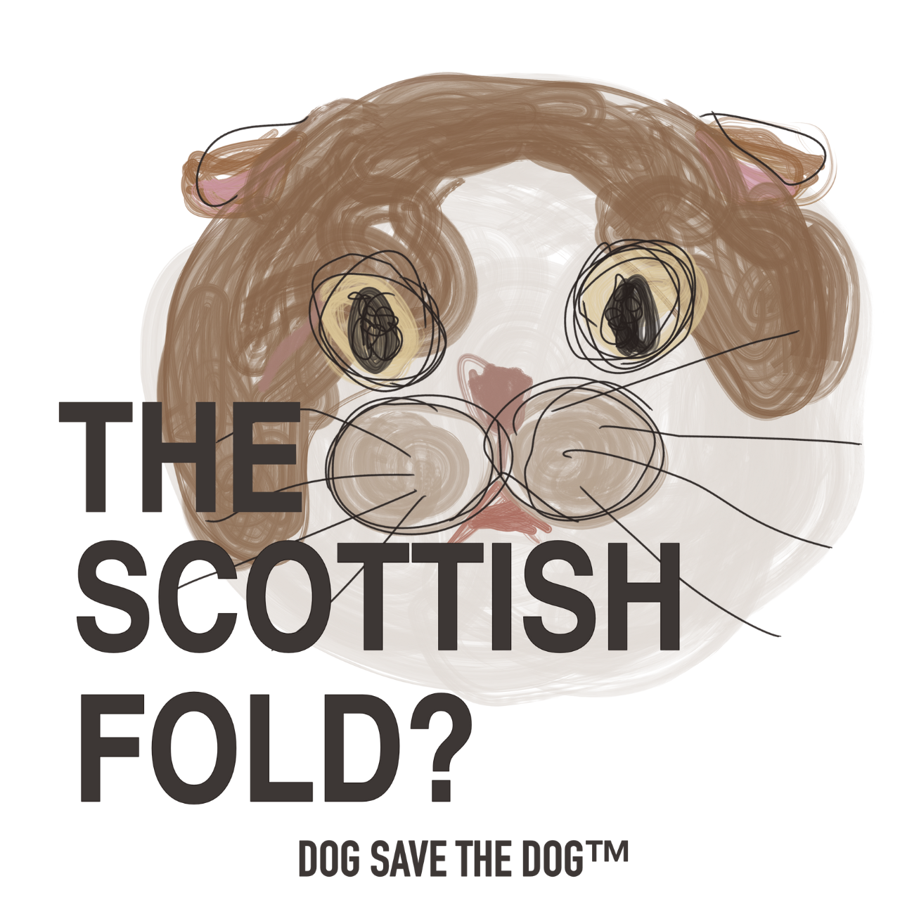 \名入れ可/ 半袖Tシャツ【スコティッシュフォールド】