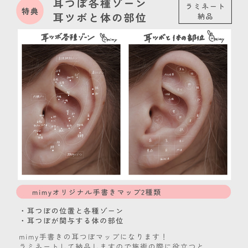 耳ツボジュエリー | 耳つぼ持ち運びBOOK | 耳ツボ辞典 耳ツボジュエリー | 耳つぼ持ち運びBOOK | 耳ツボ辞典