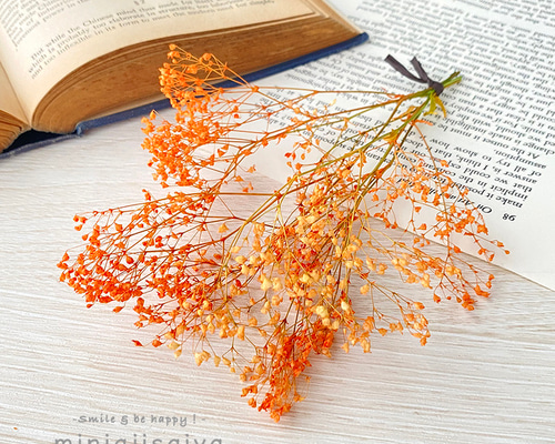 d5f107f8dc59ef075b8b5d80321947