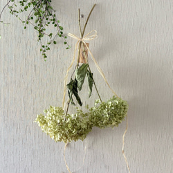 2.アナベルスワッグ 1cd85339bcdc74ad4cb000c30f6567