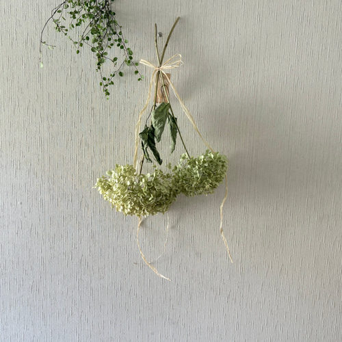 アナベル紫陽花縦長ガーランド　縦長スワッグ アナベル紫陽花縦長ガーランド 縦長スワッグ