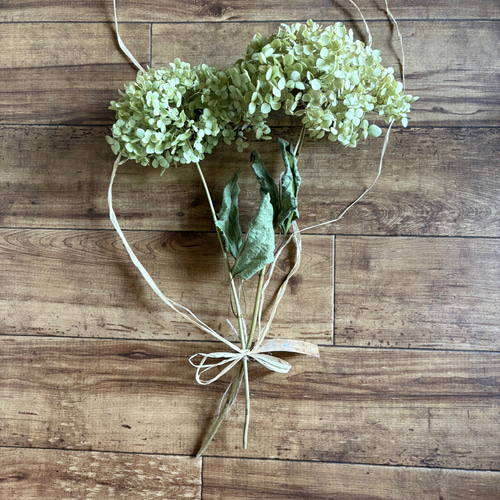 アナベル 2本 スワッグ 42cm【2】＊ 紫陽花 あじさい アジサイ