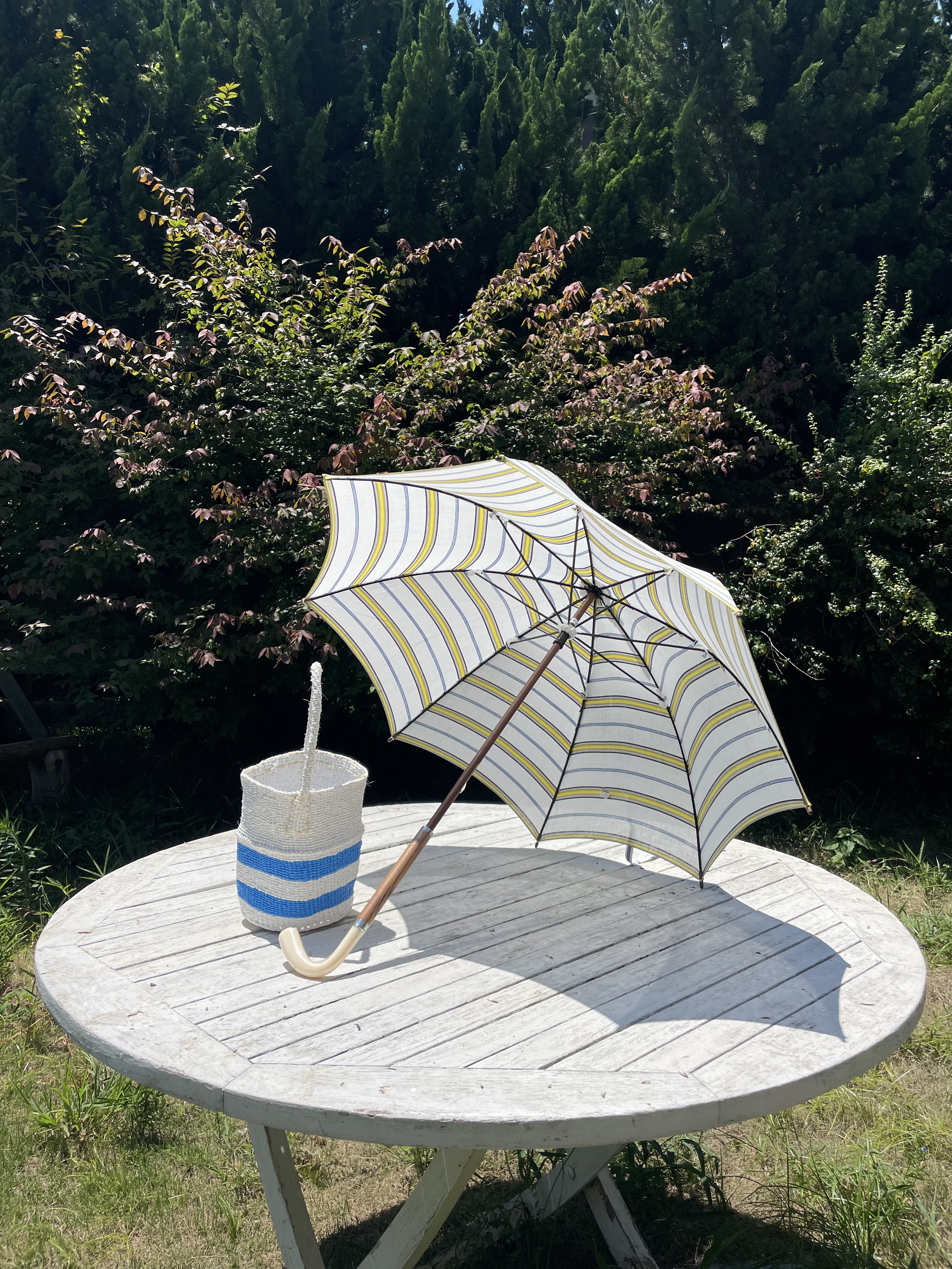 日傘　parasol/50/mistral