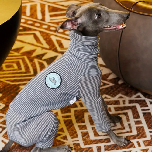 イタグレ ウィペット イタリアングレーハウンド 犬服 犬 ペットウェア
