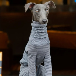 ミニピン 服 のおすすめ人気通販 検索結果｜Creema(クリーマ