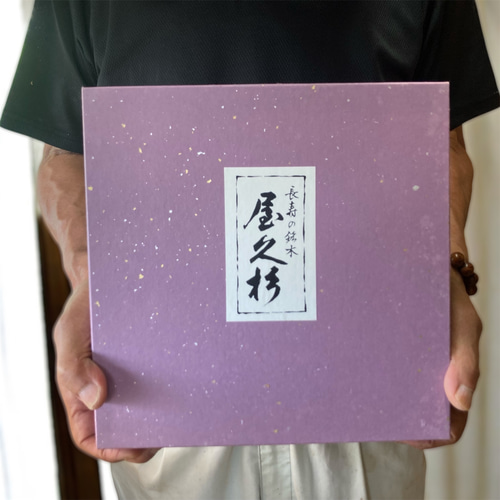 最高峰泡杢入り】今月の1点もの | 悠久の銘木 屋久杉のお盆・プレート