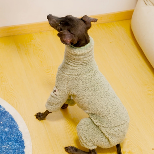 イタグレ ウィペット イタリアングレーハウンド 犬服 犬 ペット