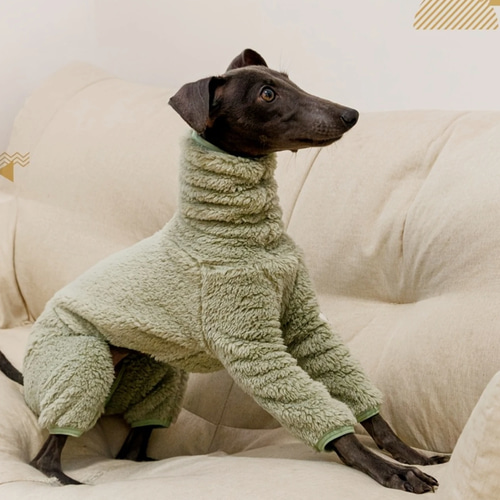 イタグレ ウィペット イタリアングレーハウンド 犬服 犬 ペットウェア