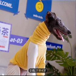 ミニピン 服 のおすすめ人気通販 検索結果｜Creema(クリーマ