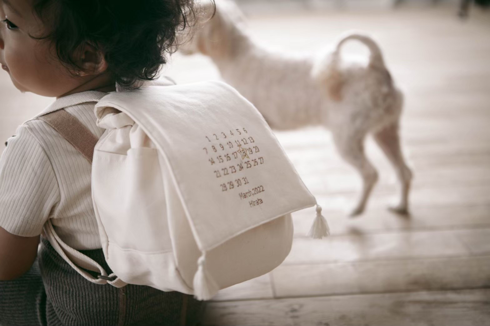 Birthday Calendar Ruck ベビーリュック 一升餅リュック 名入れ 出産祝い　一歳誕生日